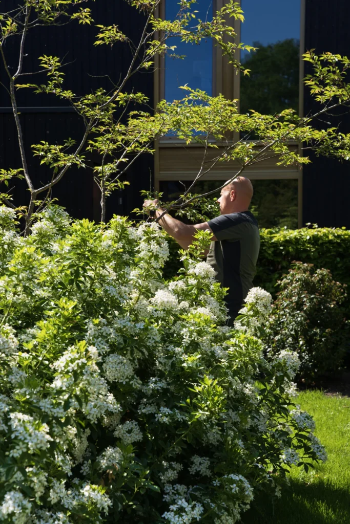 Hovenier aan het werk in de borders van een tuin in Heerde